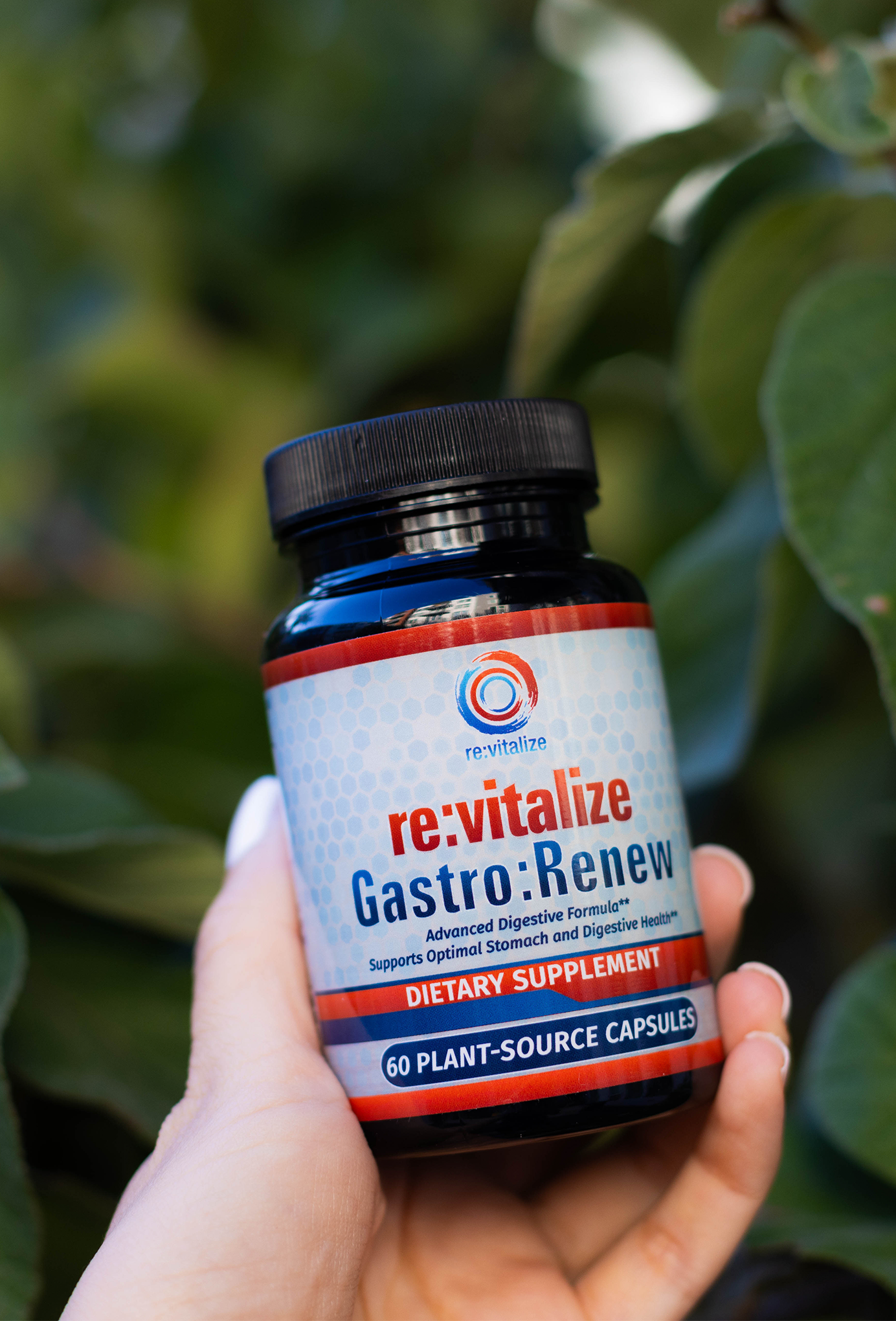 Gastro:Renew