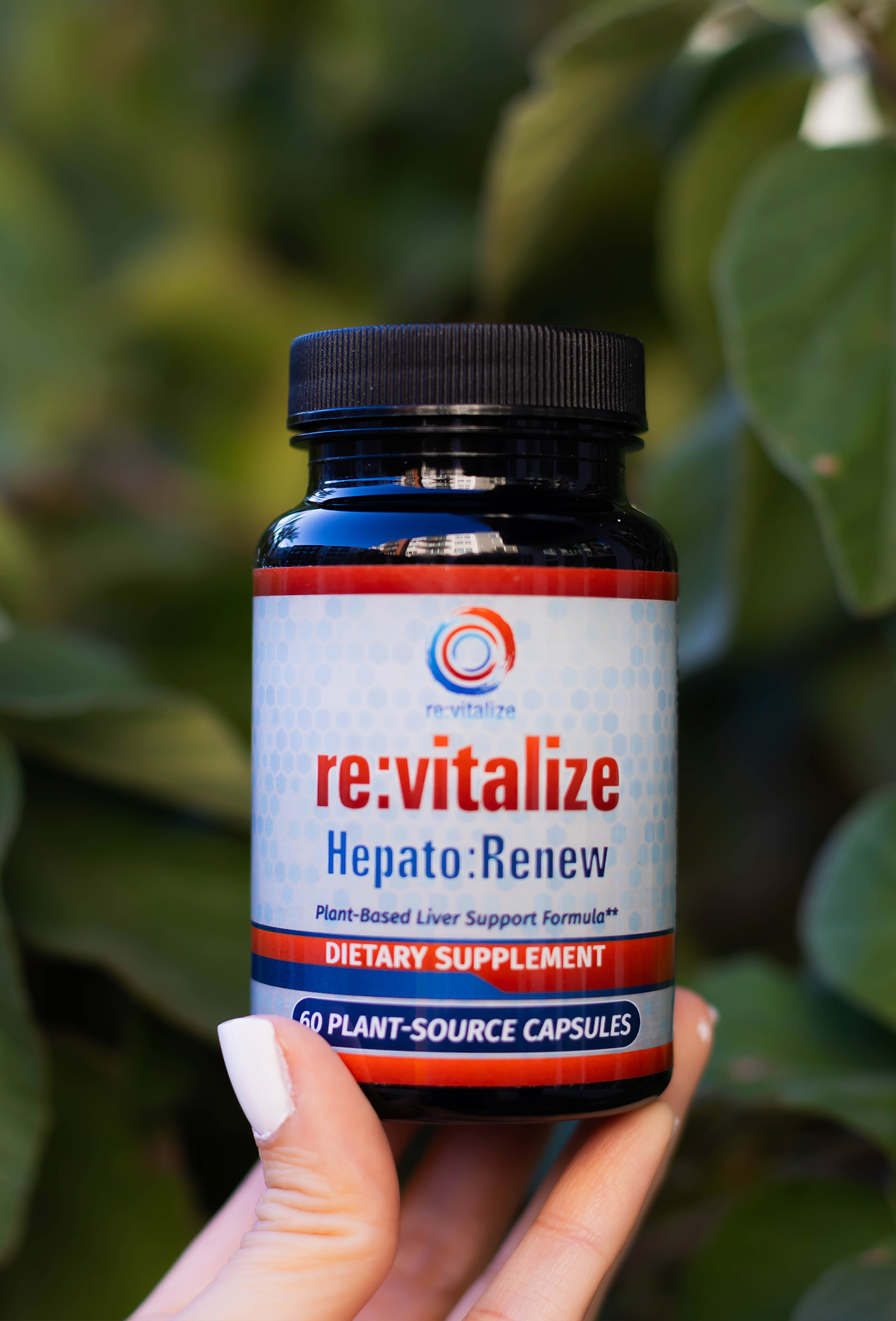 Hepato:Renew
